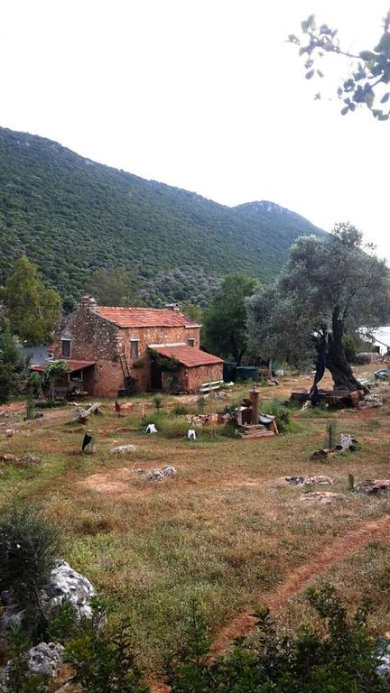 Hiker'S Inn-Purple House Kaleucagız Exteriér fotografie