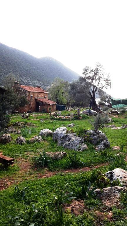 Hiker'S Inn-Purple House Kaleucagız Exteriér fotografie