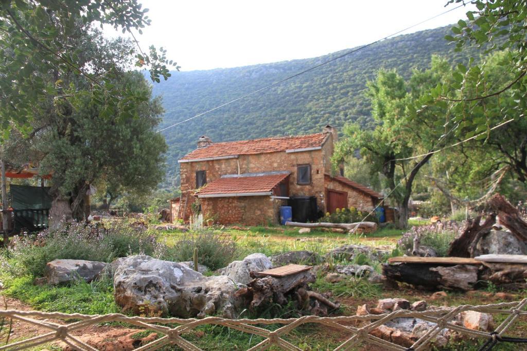 Hiker'S Inn-Purple House Kaleucagız Exteriér fotografie